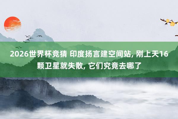 2026世界杯竞猜 印度扬言建空间站, 刚上天16颗卫星就失散, 它们究竟去哪了