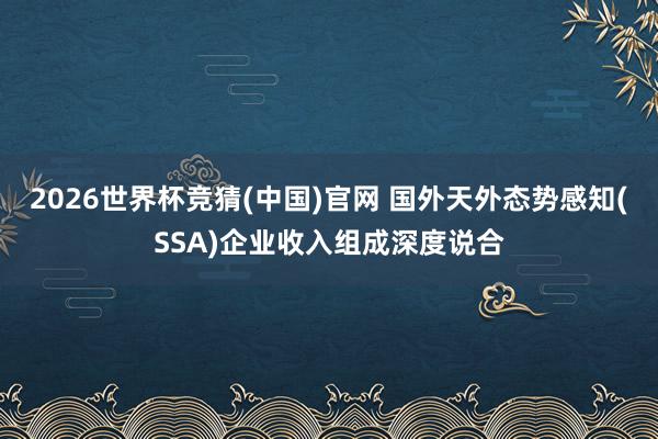 2026世界杯竞猜(中国)官网 国外天外态势感知(SSA)企业收入组成深度说合