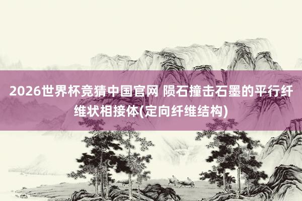 2026世界杯竞猜中国官网 陨石撞击石墨的平行纤维状相接体(定向纤维结构)