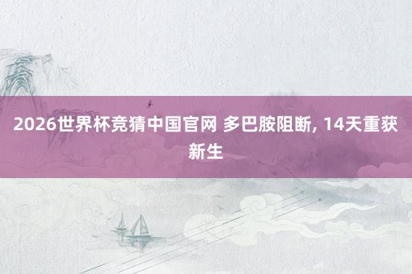 2026世界杯竞猜中国官网 多巴胺阻断, 14天重获新生