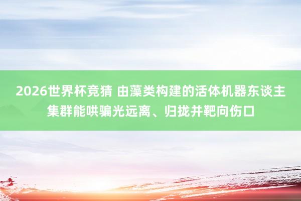 2026世界杯竞猜 由藻类构建的活体机器东谈主集群能哄骗光远离、归拢并靶向伤口