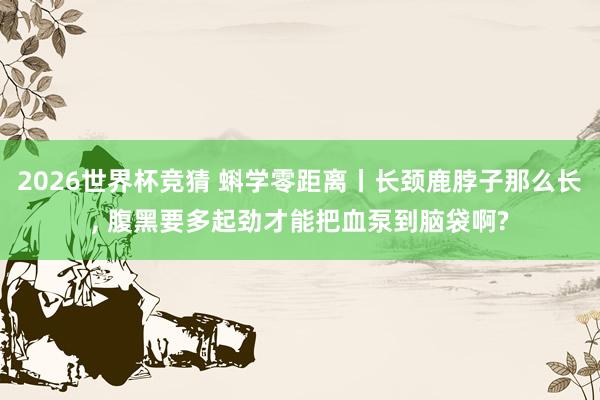 2026世界杯竞猜 蝌学零距离丨长颈鹿脖子那么长, 腹黑要多起劲才能把血泵到脑袋啊?