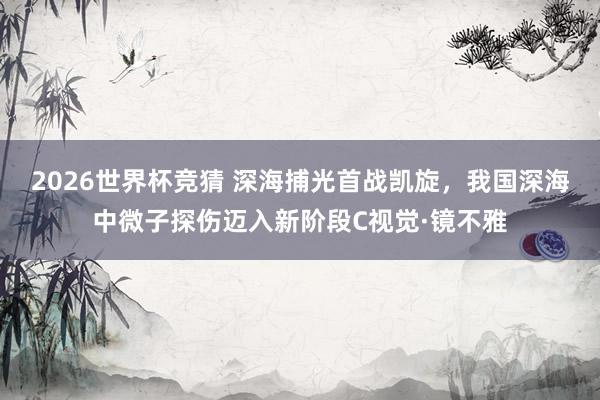 2026世界杯竞猜 深海捕光首战凯旋,我国深海中微子探伤迈入新阶段C视觉·镜不雅