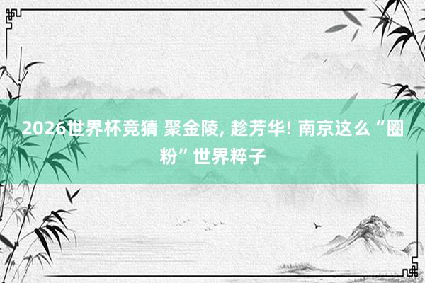 2026世界杯竞猜 聚金陵, 趁芳华! 南京这么“圈粉”世界粹子