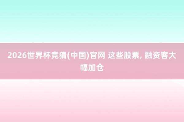 2026世界杯竞猜(中国)官网 这些股票, 融资客大幅加仓