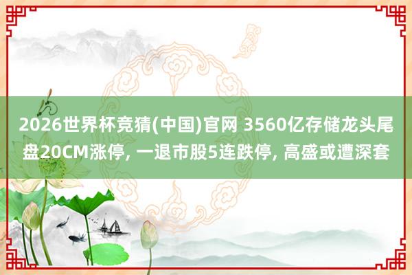 2026世界杯竞猜(中国)官网 3560亿存储龙头尾盘20CM涨停, 一退市股5连跌停, 高盛或遭深套