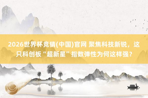2026世界杯竞猜(中国)官网 聚焦科技新锐,这只科创板“超新星”指数弹性为何这样强?