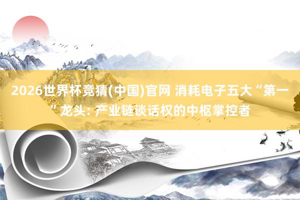 2026世界杯竞猜(中国)官网 消耗电子五大“第一”龙头: 产业链谈话权的中枢掌控者
