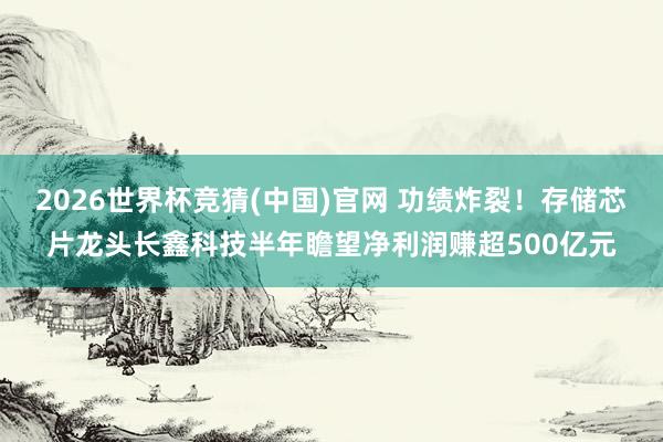 2026世界杯竞猜(中国)官网 功绩炸裂!存储芯片龙头长鑫科技半年瞻望净利润赚超500亿元