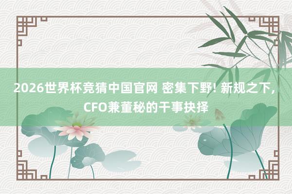 2026世界杯竞猜中国官网 密集下野! 新规之下, CFO兼董秘的干事抉择