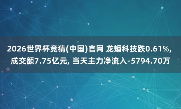 2026世界杯竞猜(中国)官网 龙蟠科技跌0.61%， 成交额7.75亿元， 当天主力净流入-5794.70万