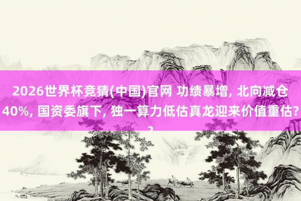2026世界杯竞猜(中国)官网 功绩暴增, 北向减仓40%, 国资委旗下, 独一算力低估真龙迎来价值重估?