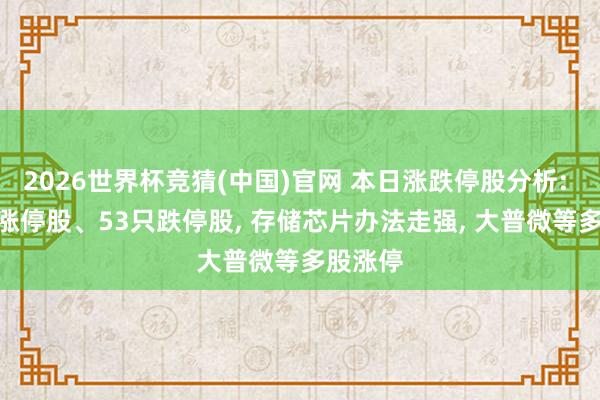 2026世界杯竞猜(中国)官网 本日涨跌停股分析: 102只涨停股、53只跌停股, 存储芯片办法走强, 大普微等多股涨停