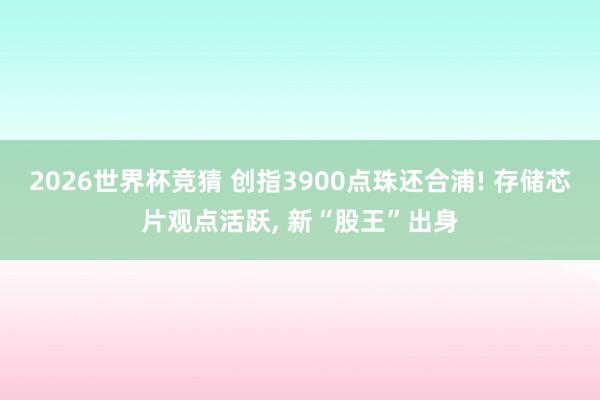2026世界杯竞猜 创指3900点珠还合浦! 存储芯片观点活跃, 新“股王”出身