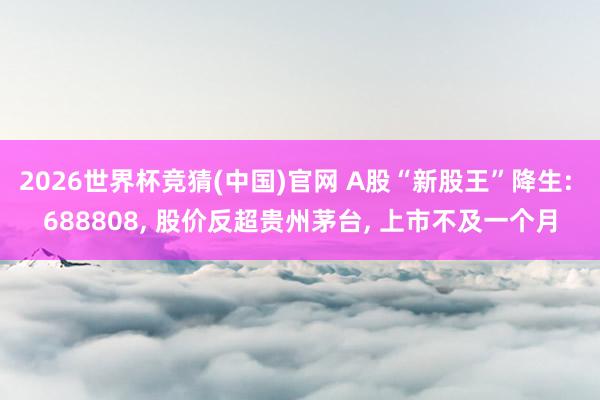 2026世界杯竞猜(中国)官网 A股“新股王”降生: 688808, 股价反超贵州茅台, 上市不及一个月