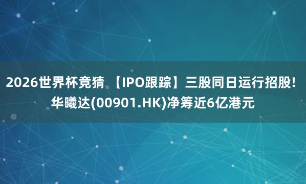 2026世界杯竞猜 【IPO跟踪】三股同日运行招股! 华曦达(00901.HK)净筹近6亿港元