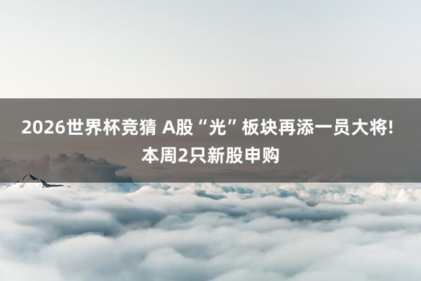 2026世界杯竞猜 A股“光”板块再添一员大将! 本周2只新股申购