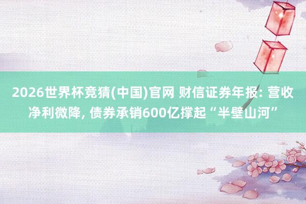 2026世界杯竞猜(中国)官网 财信证券年报: 营收净利微降, 债券承销600亿撑起“半壁山河”