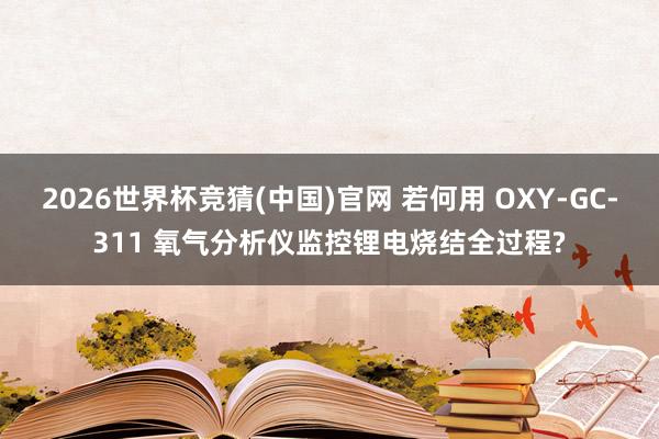2026世界杯竞猜(中国)官网 若何用 OXY-GC-311 氧气分析仪监控锂电烧结全过程?