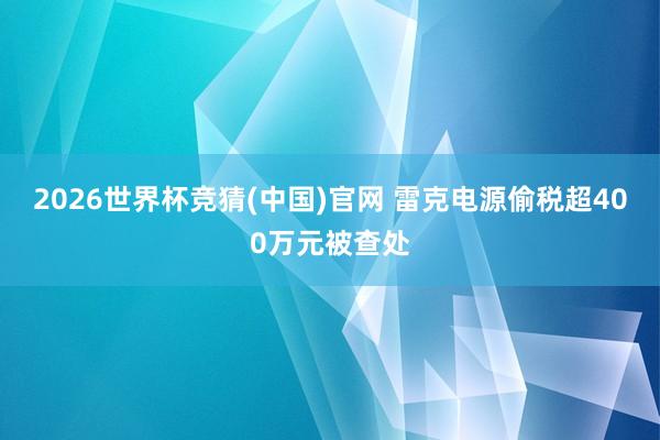 2026世界杯竞猜(中国)官网 雷克电源偷税超400万元被查处
