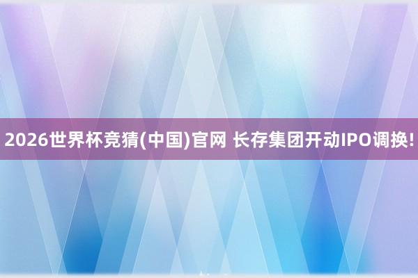 2026世界杯竞猜(中国)官网 长存集团开动IPO调换!
