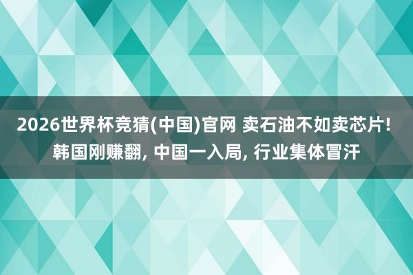 2026世界杯竞猜(中国)官网 卖石油不如卖芯片! 韩国刚赚翻, 中国一入局, 行业集体冒汗