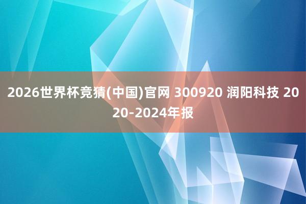 2026世界杯竞猜(中国)官网 300920 润阳科技 2020-2024年报