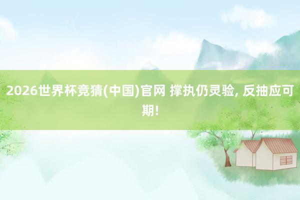 2026世界杯竞猜(中国)官网 撑执仍灵验, 反抽应可期!