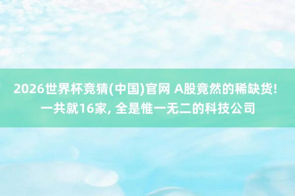 2026世界杯竞猜(中国)官网 A股竟然的稀缺货! 一共就16家, 全是惟一无二的科技公司