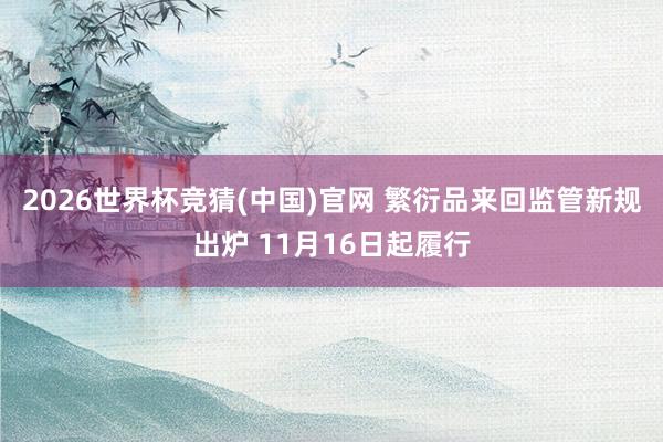 2026世界杯竞猜(中国)官网 繁衍品来回监管新规出炉 11月16日起履行