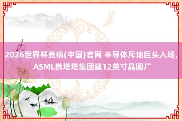 2026世界杯竞猜(中国)官网 半导体斥地巨头入场， ASML携塔塔集团建12英寸晶圆厂