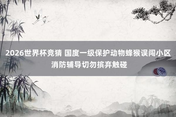 2026世界杯竞猜 国度一级保护动物蜂猴误闯小区 消防辅导切勿摈弃触碰