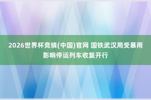 2026世界杯竞猜(中国)官网 国铁武汉局受暴雨影响停运列车收复开行