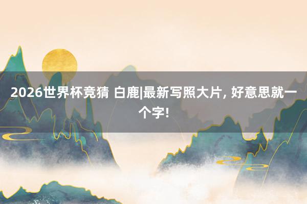2026世界杯竞猜 白鹿|最新写照大片，<a href=