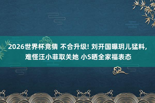 2026世界杯竞猜 不合升级! 刘开国曝玥儿猛料, 难怪汪小菲取关她 小S晒全家福表态