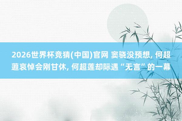 2026世界杯竞猜(中国)官网 窦骁没预想, 何超蕸哀悼会刚甘休, 何超莲却际遇“无言”的一幕