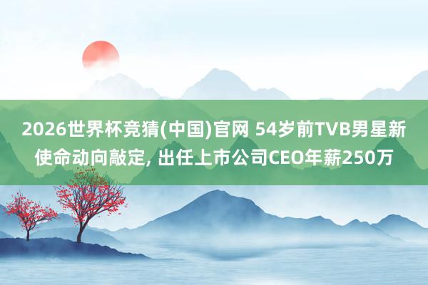 2026世界杯竞猜(中国)官网 54岁前TVB男星新使命动向敲定, 出任上市公司CEO年薪250万