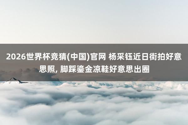 2026世界杯竞猜(中国)官网 杨采钰近日街拍好意思照， 脚踩鎏金凉鞋好意思出圈