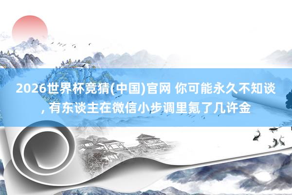 2026世界杯竞猜(中国)官网 你可能永久不知谈, 有东谈主在微信小步调里氪了几许金