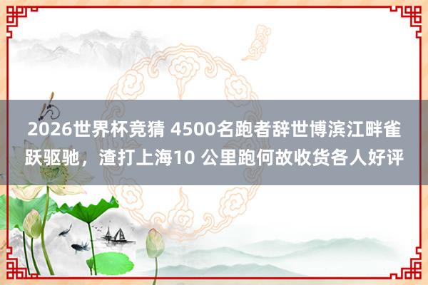 2026世界杯竞猜 4500名跑者辞世博滨江畔雀跃驱驰，渣打上海10 公里跑何故收货各人好评