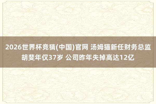 2026世界杯竞猜(中国)官网 汤姆猫新任财务总监胡斐年仅37岁 公司昨年失掉高达12亿
