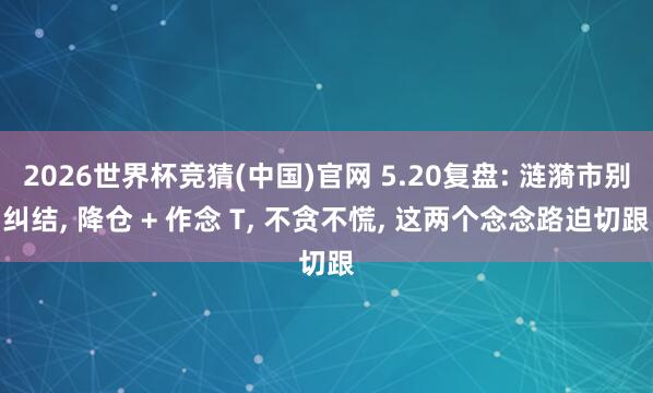 2026世界杯竞猜(中国)官网 5.20复盘: 涟漪市别纠结, 降仓 + 作念 T, 不贪不慌, 这两个念念路迫切跟