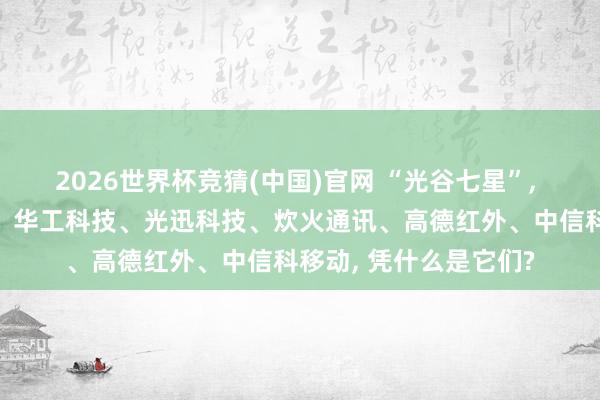 2026世界杯竞猜(中国)官网 “光谷七星”, 长江存储、长飞光纤、华工科技、光迅科技、炊火通讯、高德红外、中信科移动, 凭什么是它们?