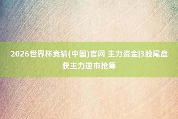 2026世界杯竞猜(中国)官网 主力资金|3股尾盘获主力逆市抢筹
