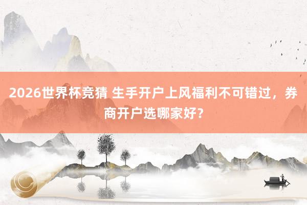 2026世界杯竞猜 生手开户上风福利不可错过,券商开户选哪家好?