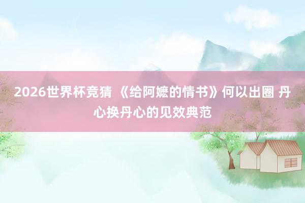 2026世界杯竞猜 《给阿嬷的情书》何以出圈 丹心换丹心的见效典范