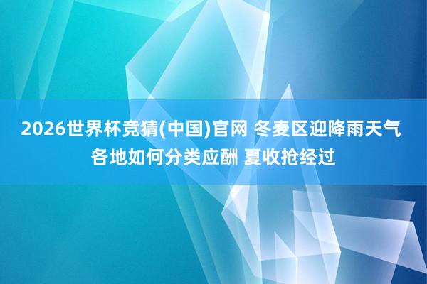 2026世界杯竞猜(中国)官网 冬麦区迎降雨天气 各地如何分类应酬 夏收抢经过