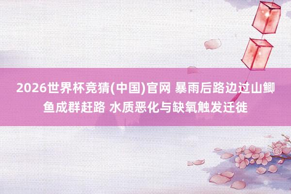 2026世界杯竞猜(中国)官网 暴雨后路边过山鲫鱼成群赶路 水质恶化与缺氧触发迁徙