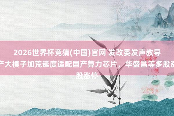 2026世界杯竞猜(中国)官网 发改委发声教导国产大模子加荒诞度适配国产算力芯片,华盛昌等多股涨停