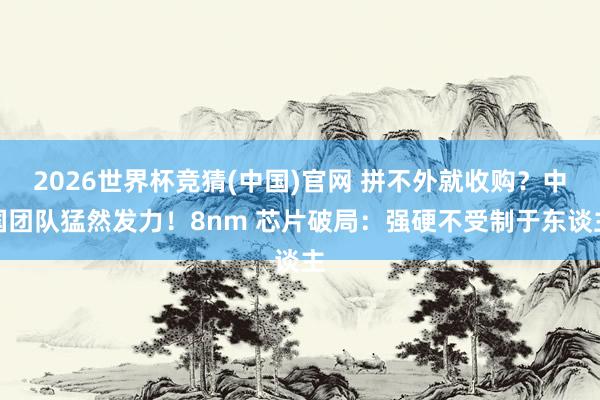 2026世界杯竞猜(中国)官网 拼不外就收购?中国团队猛然发力!8nm 芯片破局:强硬不受制于东谈主